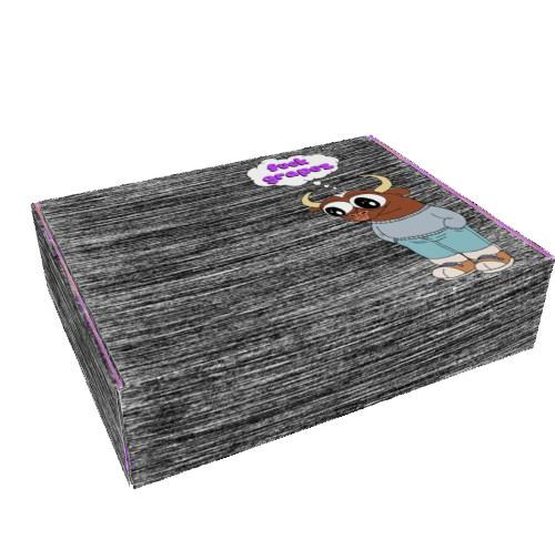 Custom Printed Box